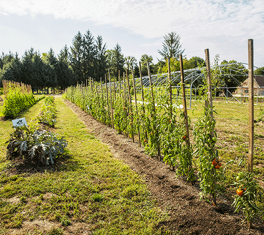 Biodiversite_Paprec_Agro_2 Biodiversite_Paprec_Agro_2