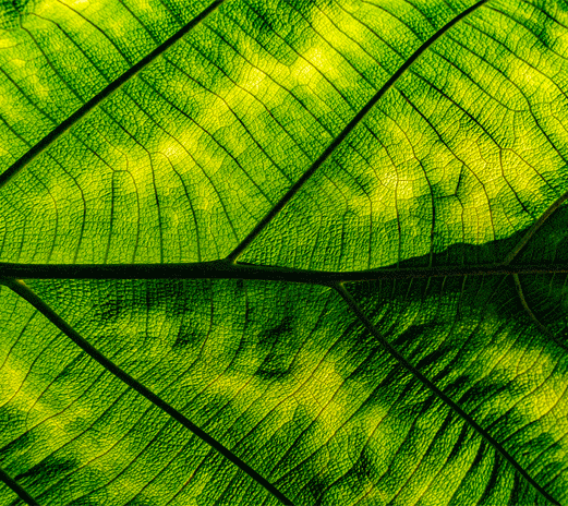 Plastiques_Cellulose_Paprec Plastiques_Cellulose_Paprec