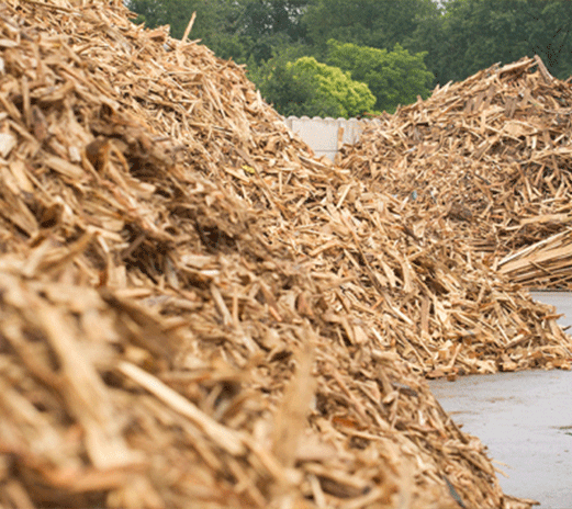 tout_savoir_recyclage_bois tout_savoir_recyclage_bois