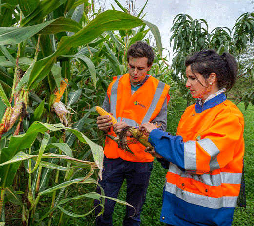 ingenieur_agronome_2_metier_paprec ingenieur_agronome_2_metier_paprec