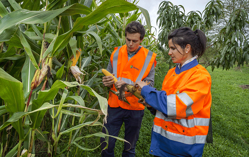 agro_waste_recovery agro_waste_recovery