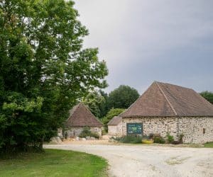 Journée mondiale de l’environnement : testez vos connaissances et découvrez nos engagements