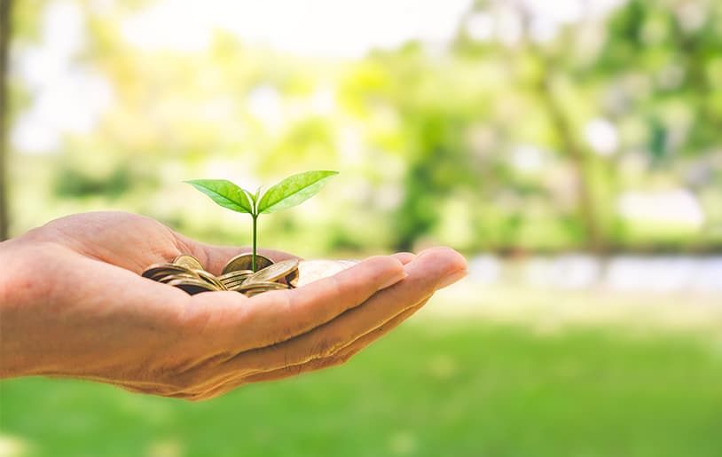 Environnement_Coeur_Economie Faire de la relance économique un accélérateur de la transition écologique.
