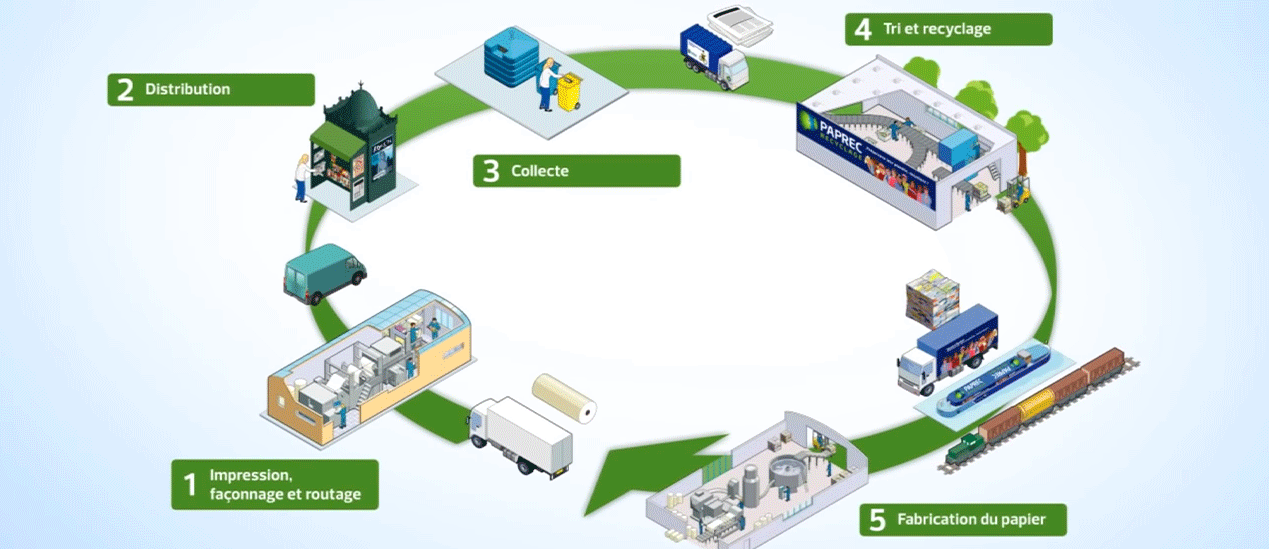 Recyclage du papier : tout savoir sur son cycle de vie ! - Tri-o