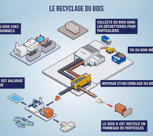 infographie-Recyclage-bois