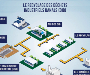 Le recyclage des déchets industriels banals en infographie