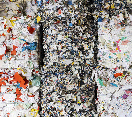 reciclar-los-residuos-es-ecologica