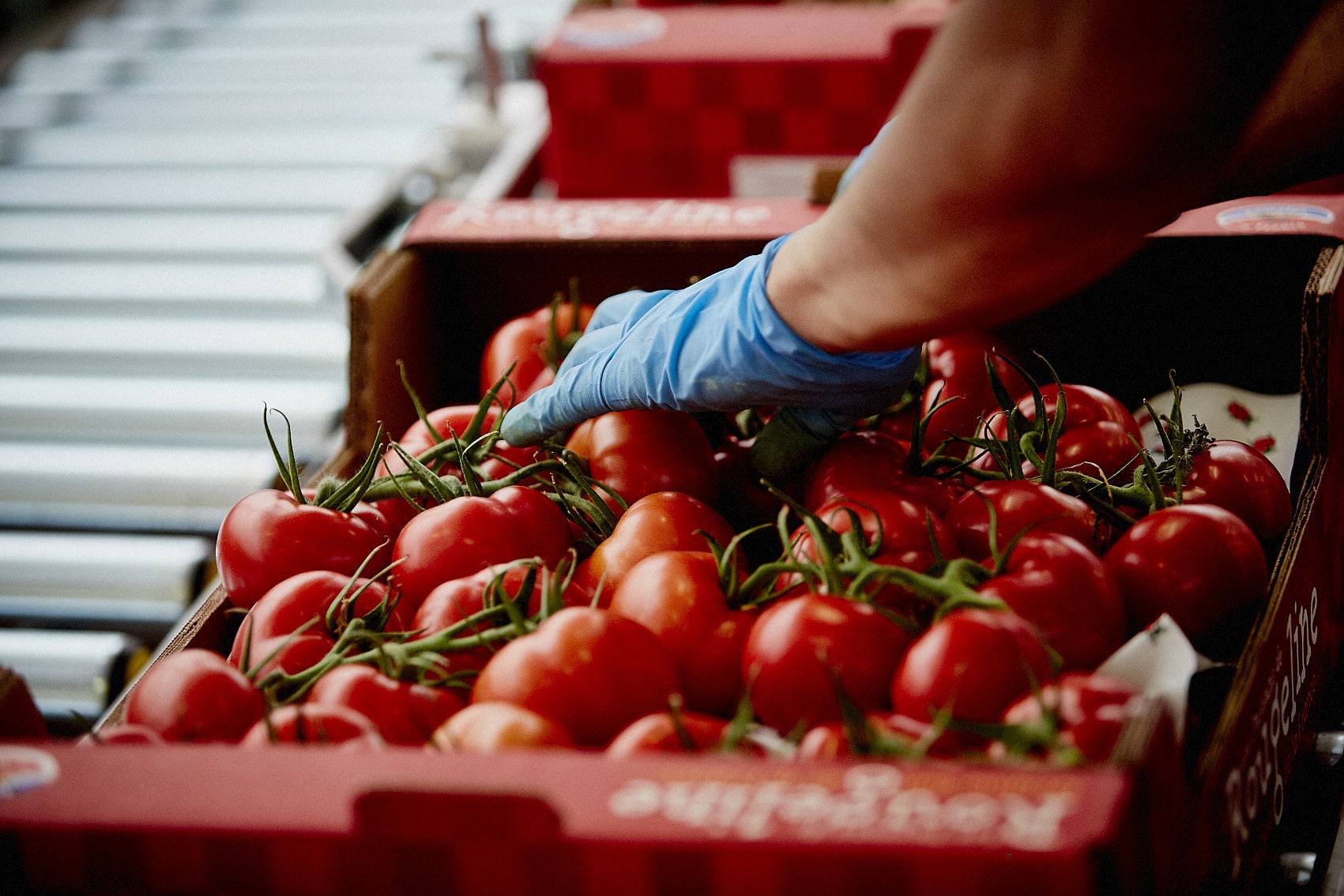 _tomates_paprec_dechets_Pontenx-les-forges_Vicente Gunther_Sélection_2014