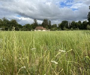 Découvrez le rapport de développement durable 2023 du Groupe Paprec